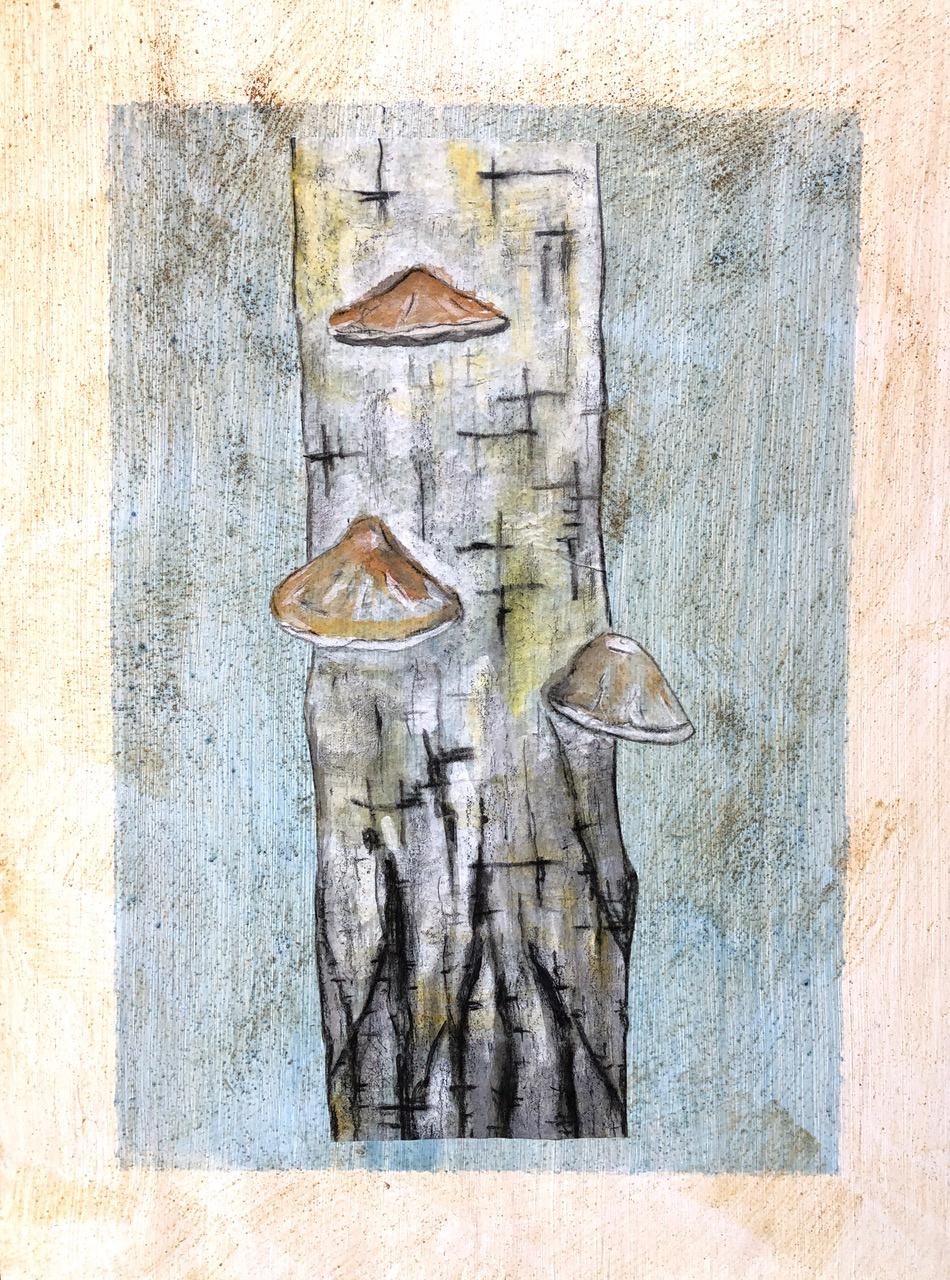 Birkenporling (der wald hat ohren) - Reinhard Krehl 