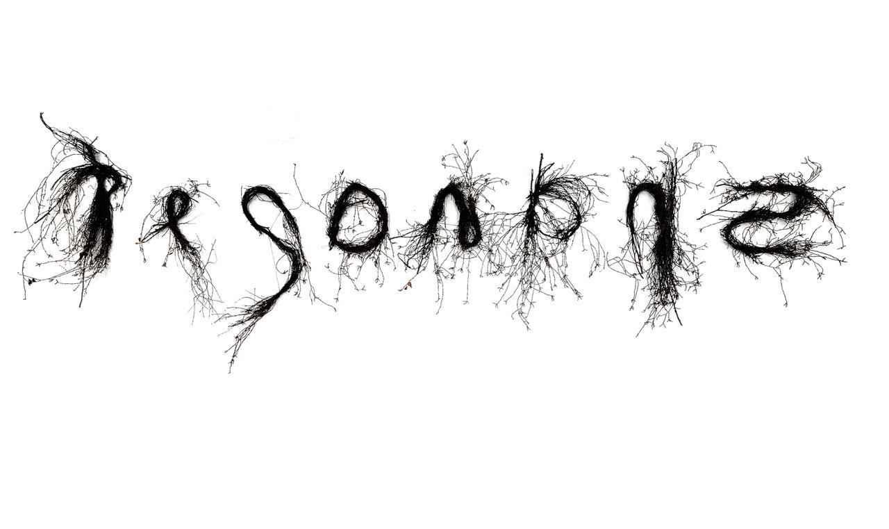 Resonanz - Reinhard Krehl 