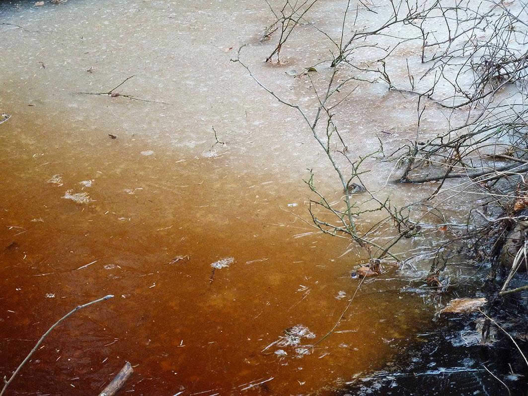 Frost 3 - Clara S. Rueprich 