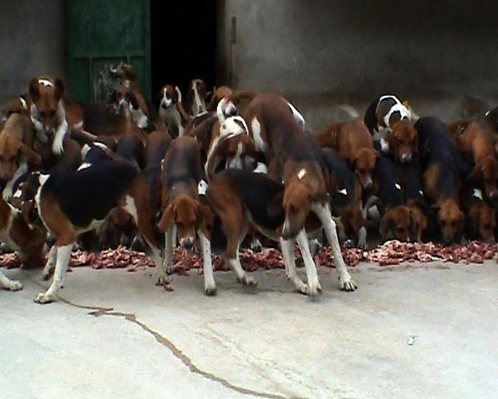 Condition M  / Still 3 - Clara S. Rueprich 