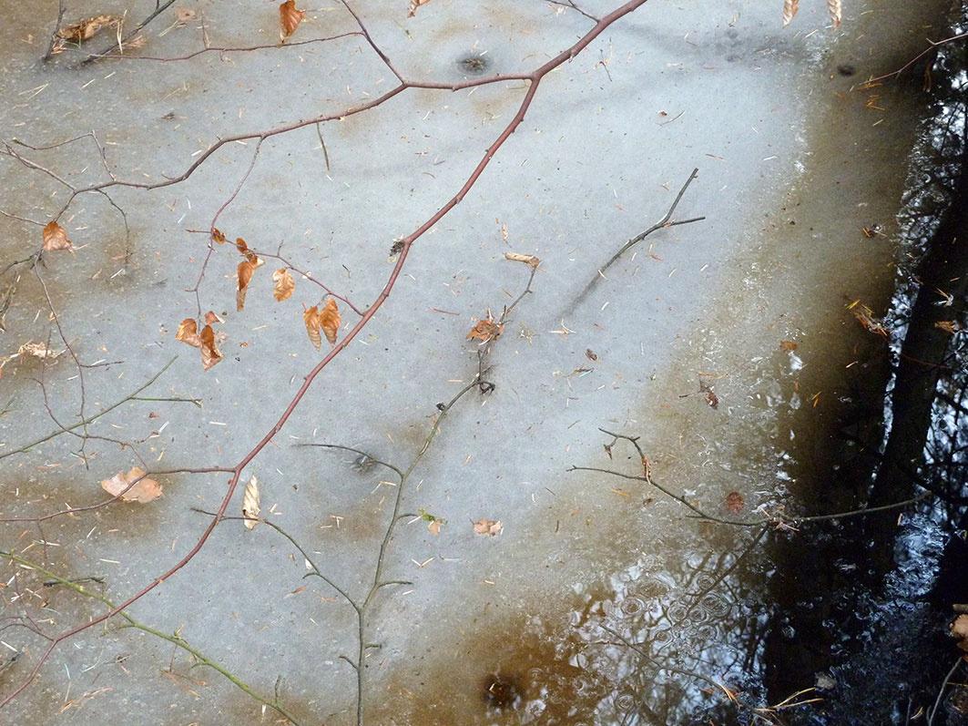 Frost 2 - Clara S. Rueprich 