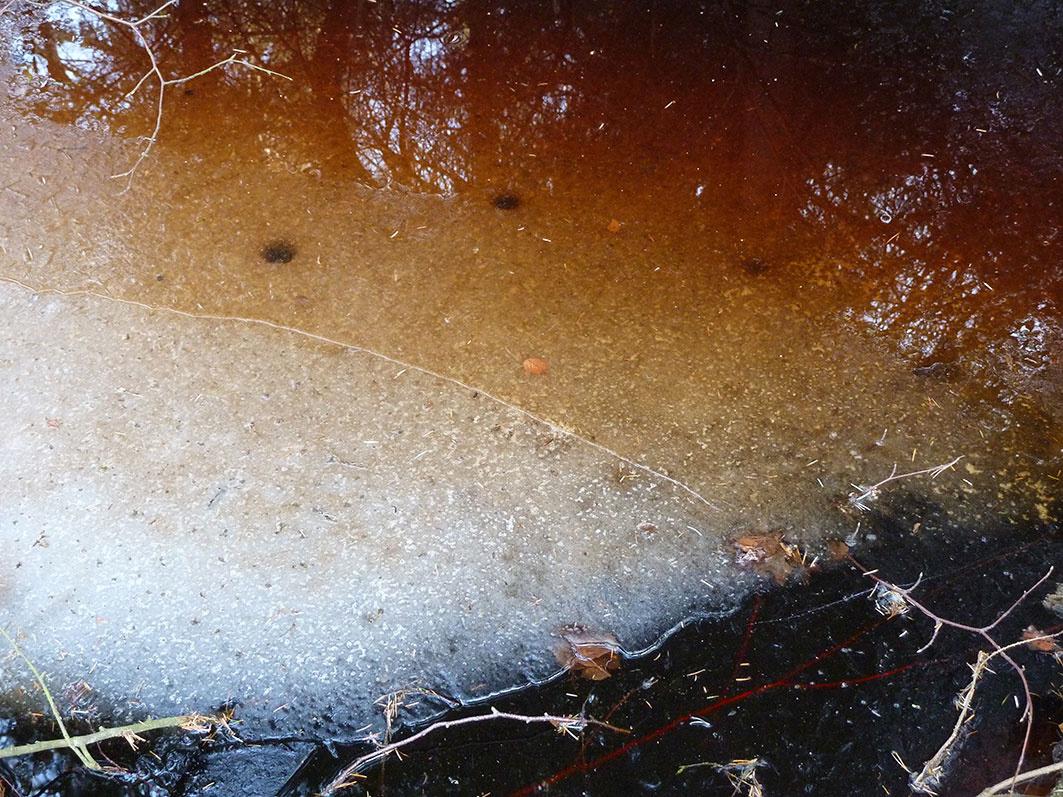 Frost 1 - Clara S. Rueprich 