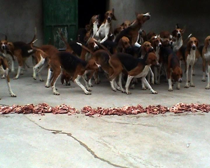 Condition M  / Still 1 - Clara S. Rueprich 