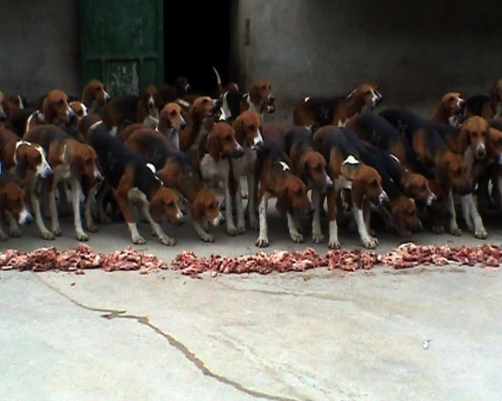 Condition M  / Still 2 - Clara S. Rueprich 