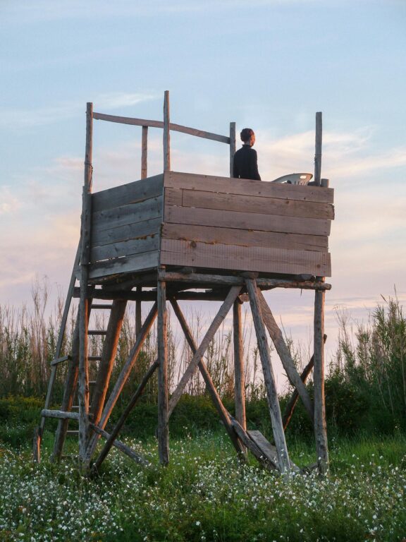 #1 from the series: SUSAK Trilogy. WATCHING - Clara S. Rueprich 