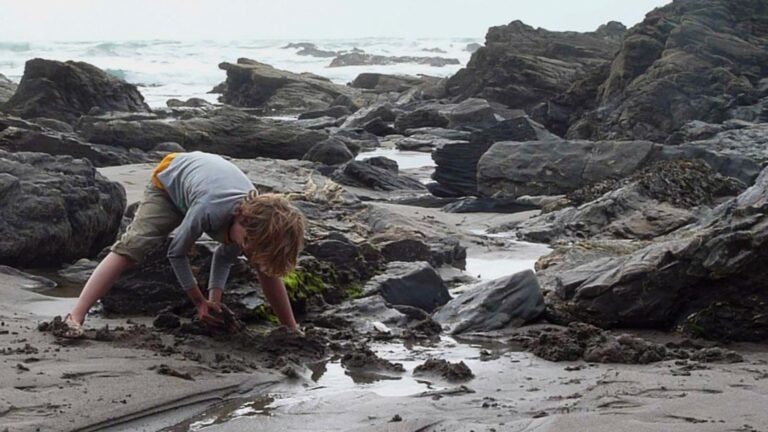 FLOW, HDV 16:9  / sound: stereo - Clara S. Rueprich 