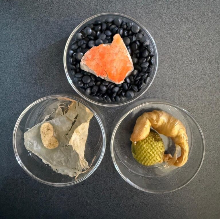 Plastic Studies: Series I (No 1-3) - Debbie Westergaard Tuepha 