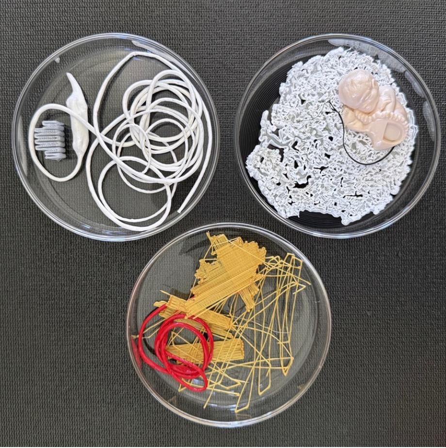 Plastic Studies: Series II (No 1-3) - Debbie Westergaard Tuepha 