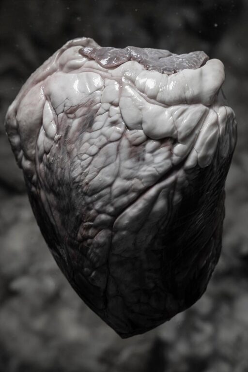 from the series: broken (heart) - Katia Klose 
