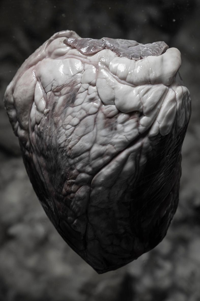 from the series: broken (heart) - Katia Klose 