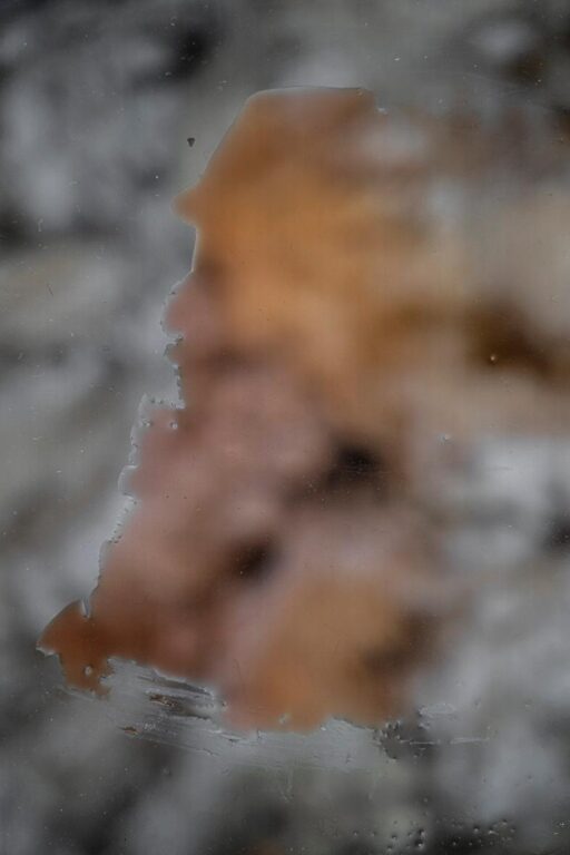 from the series: ephemeral - Katia Klose 