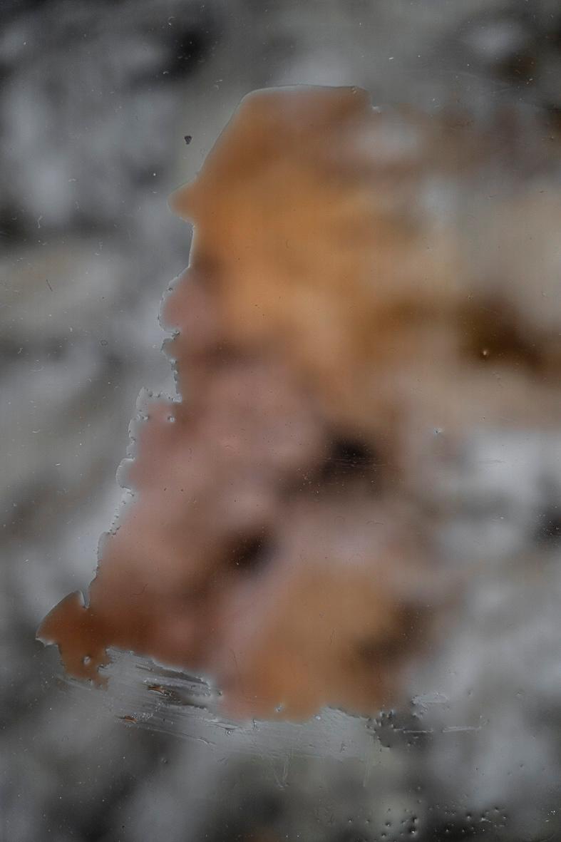 from the series: ephemeral - Katia Klose 