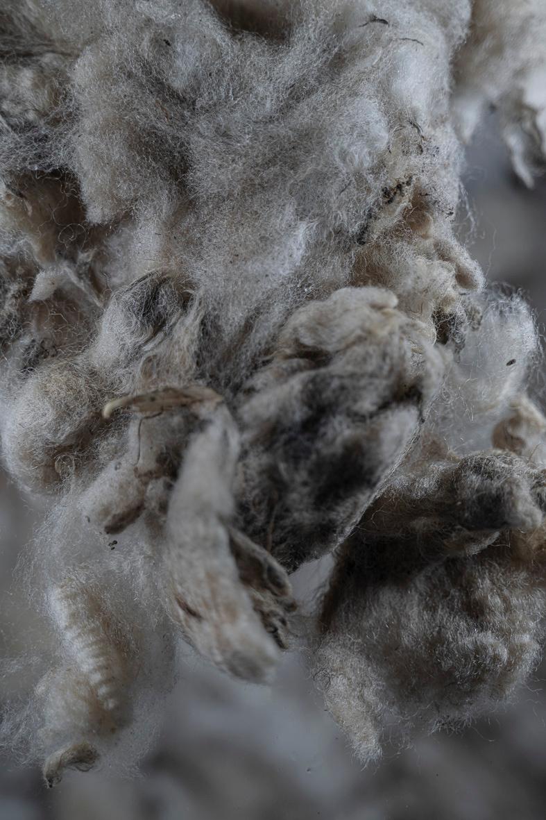 from the series: ephemeral - Katia Klose 