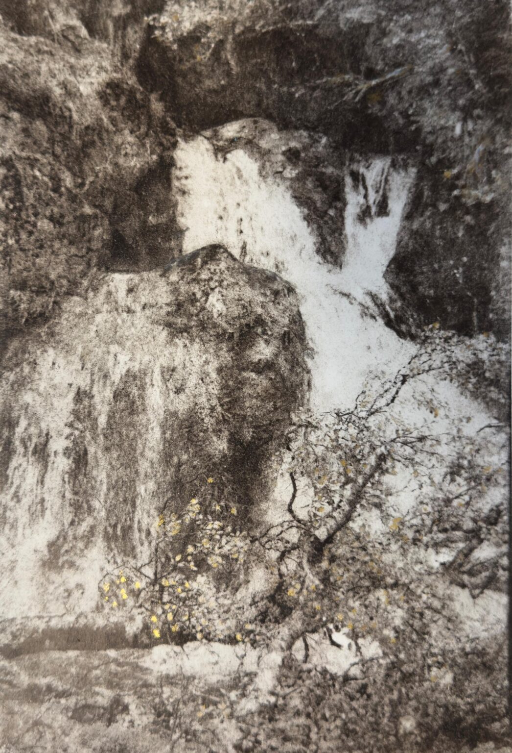 GOLD BIRCH - J&oacute;na &THORN;orvaldsd&oacute;ttir 