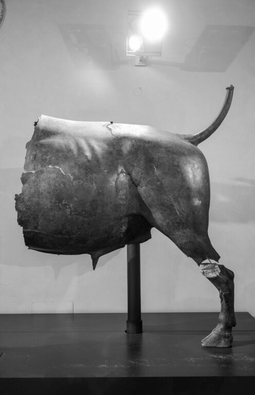 from the series: broken (toro) - Katia Klose 
