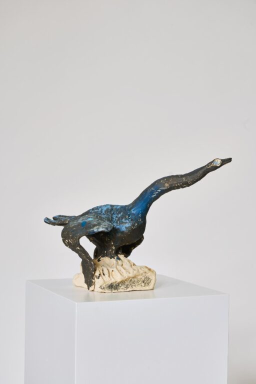 black SWAN - Carlo Leopold Broschewitz 