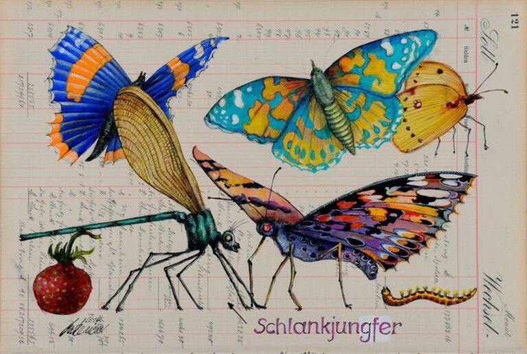 Schlankjungfer - Thomas Gatzemeier 