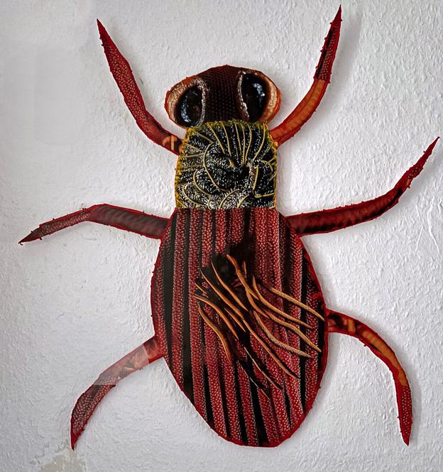 Käfer 5 - Verena Georgy Bretschneider 