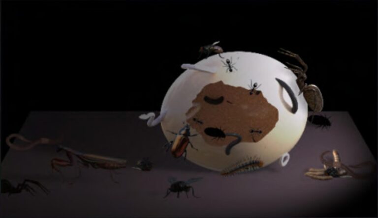 The Egg - Lili Voigt 
