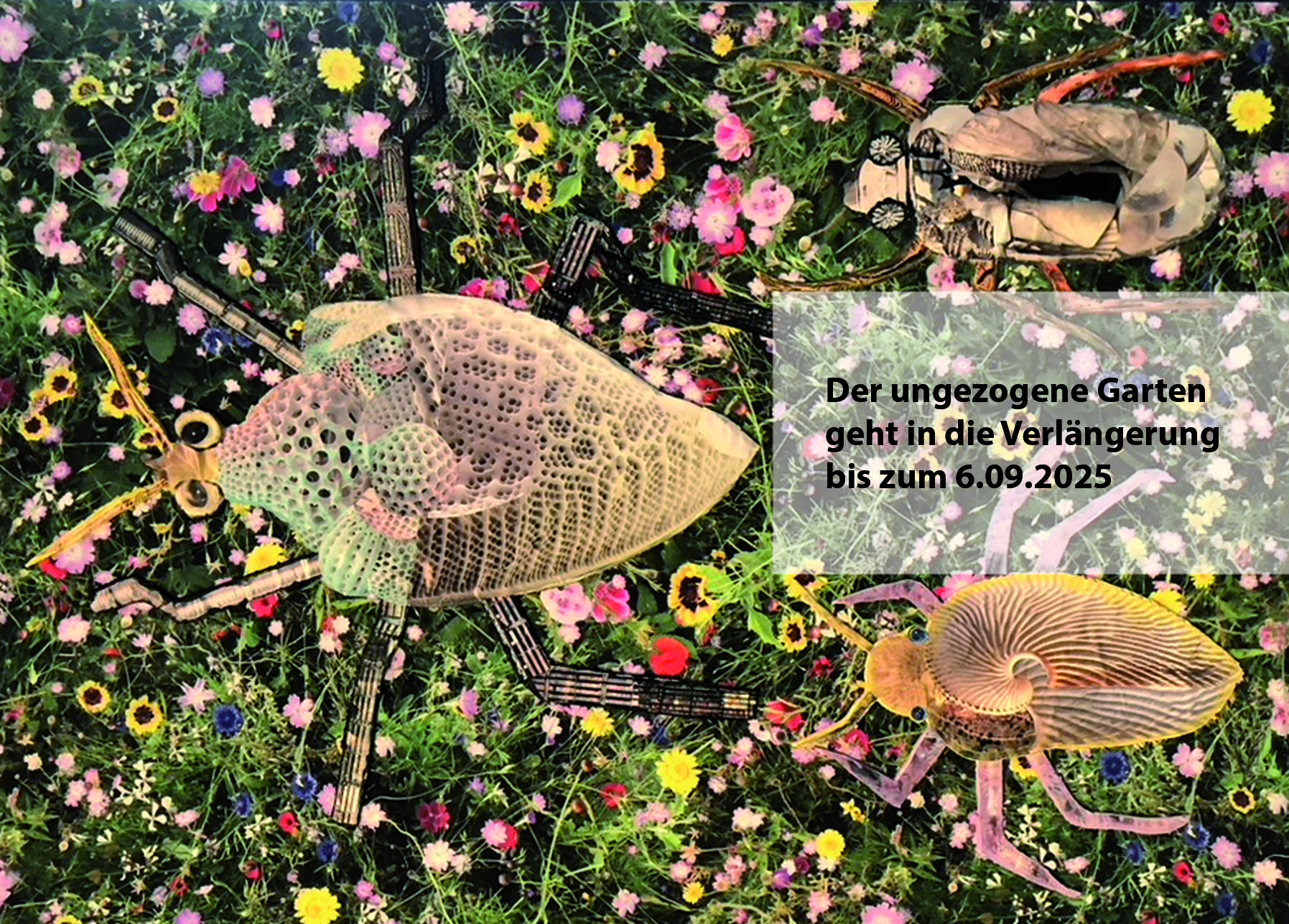 Der ungezogene Garten – „Paradies der Absurditäten, Ort der Entzückungen“ - Lili Voigt, Sevda Chkoutova, Thomas Gatzemeier, Verena Bretschneider, Verena Georgy Bretschneider 