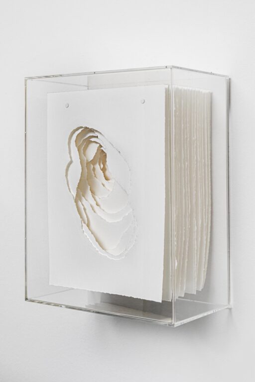 2024-024 Terforation - Angela Glajcar 