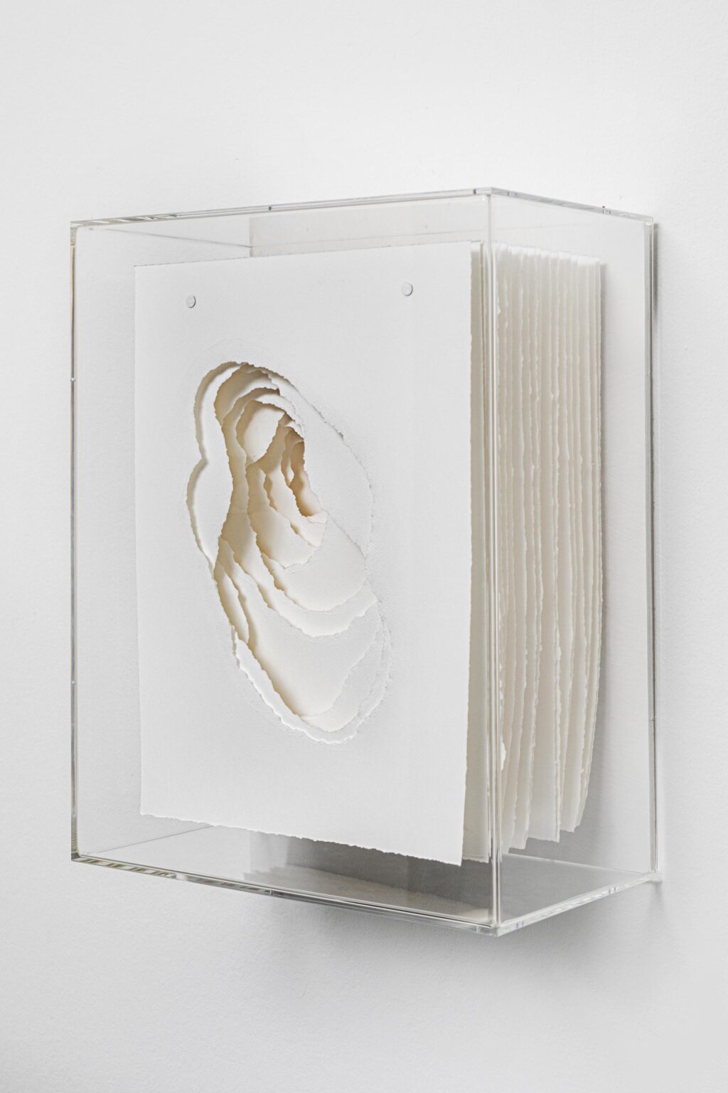 2024-024 Terforation - Angela Glajcar 