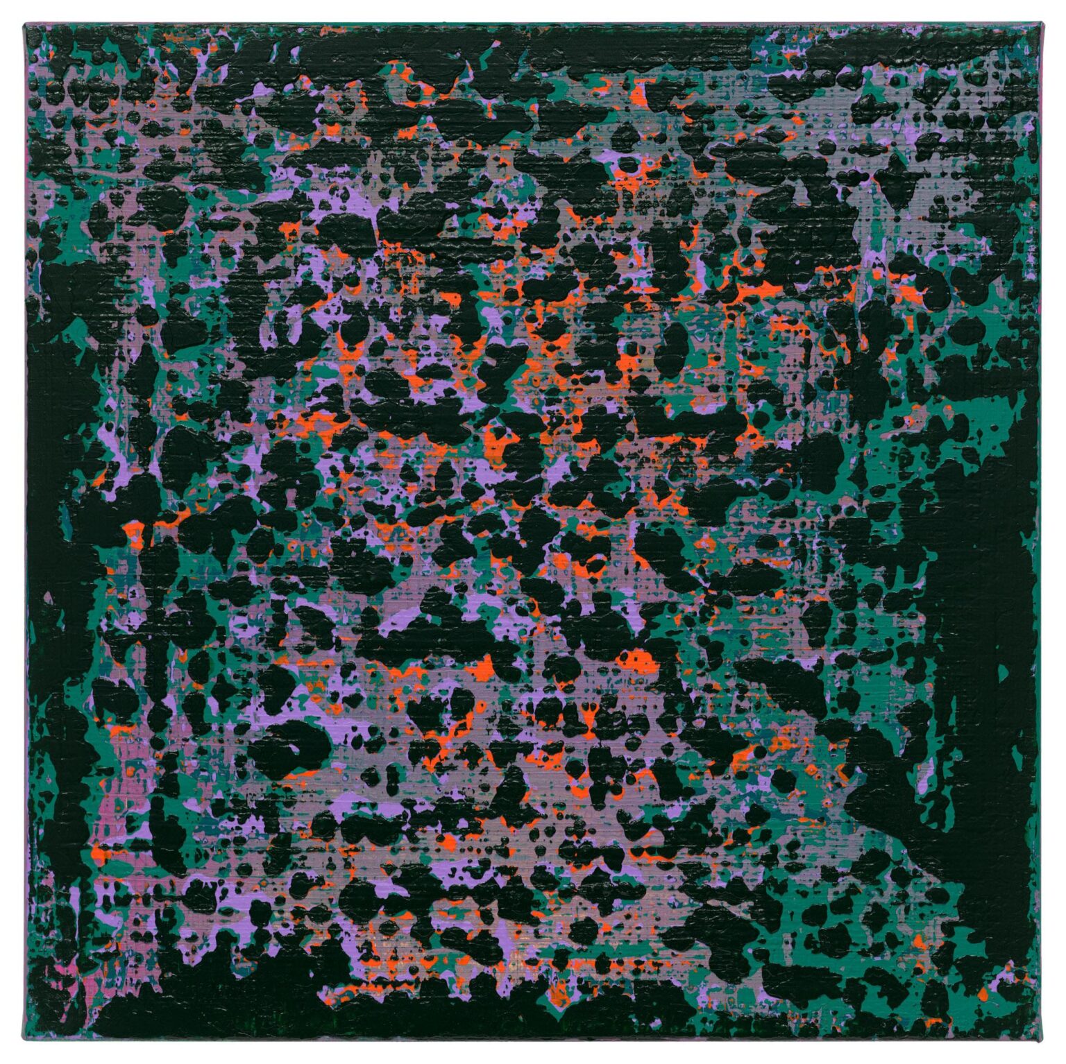 Vulkan I - Polly Habuzin 