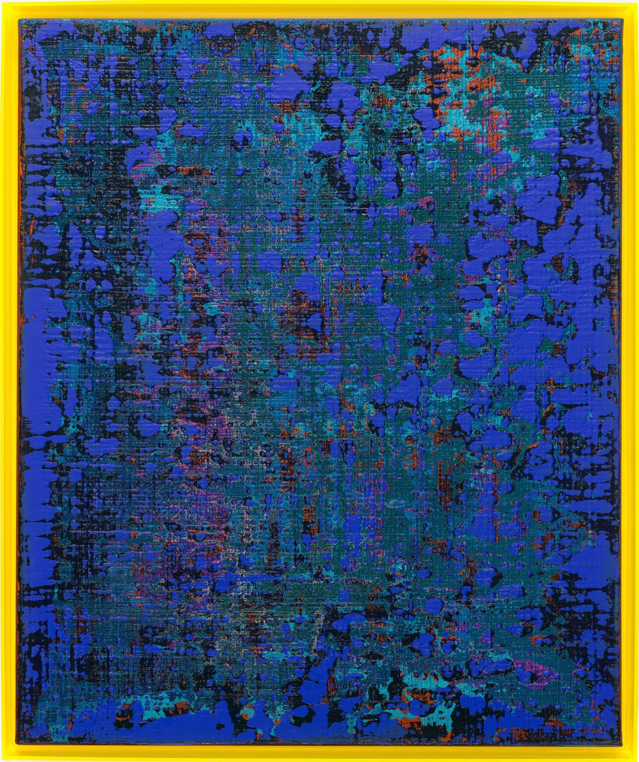 Die Kr&ouml;te - Polly Habuzin 