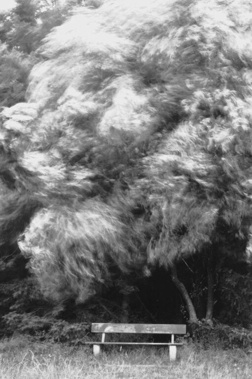 die bank (die Farbe grau) - Jutta Schwöbel Jutta Schwöbel