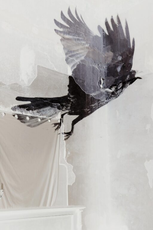 Ein Rabe in Schwerin - Jutta Schwöbel 