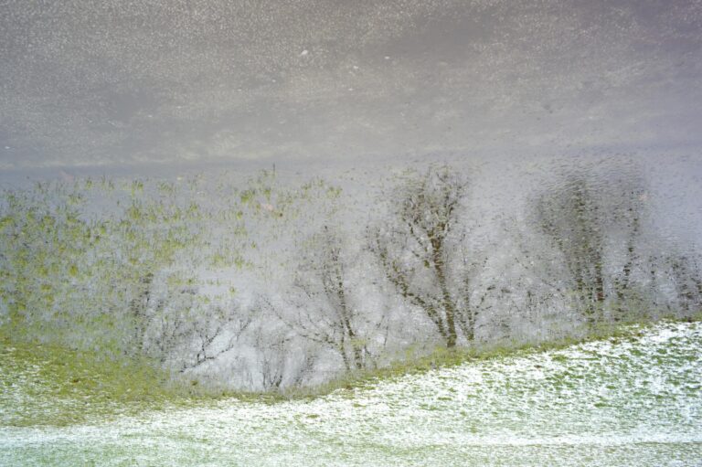 Gegenwelt - Jutta Schwöbel 