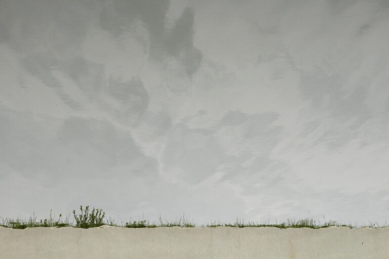 Gegenwelt - Jutta Schwöbel 