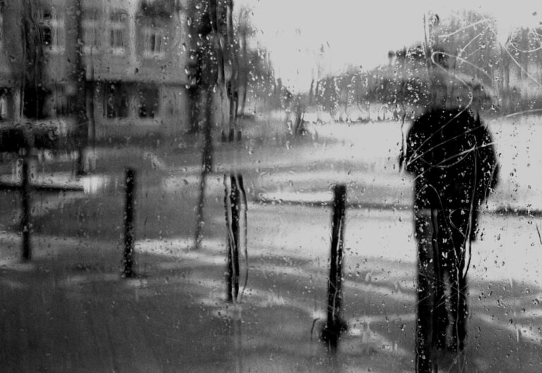 Hamburg eine Regenfahrt - Jutta Schwöbel 