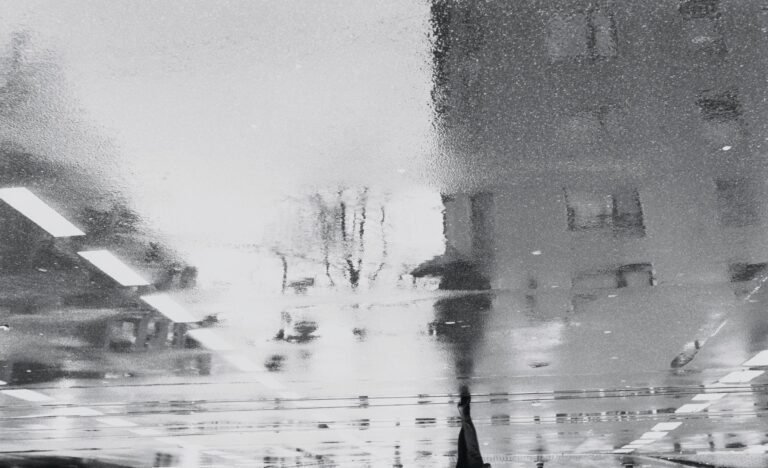 Düsseldorfer Asphalt - Jutta Schwöbel 