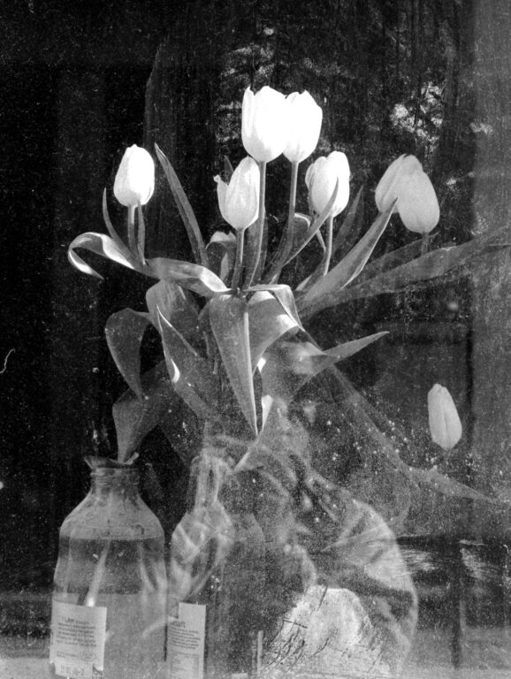 Tulpenstilleben - Jutta Schwöbel 