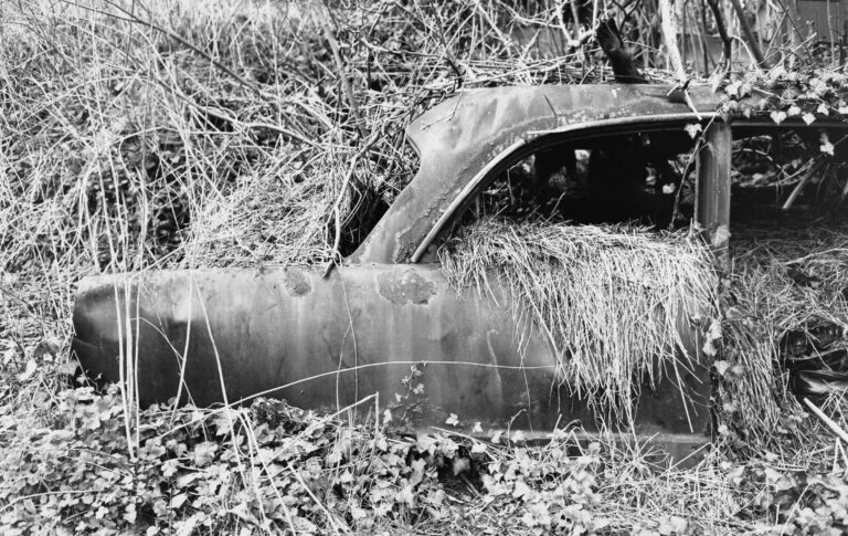 Auto (die Farbe Grau) - Jutta Schwöbel 