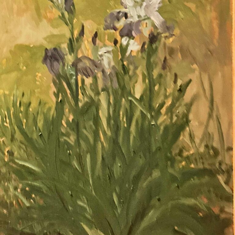Iris - Hans-Hubertus Gaebel 