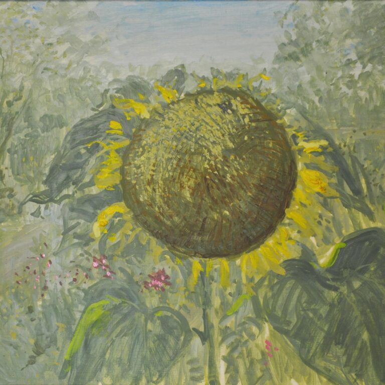 Sonnenblume - Hans-Hubertus Gaebel 