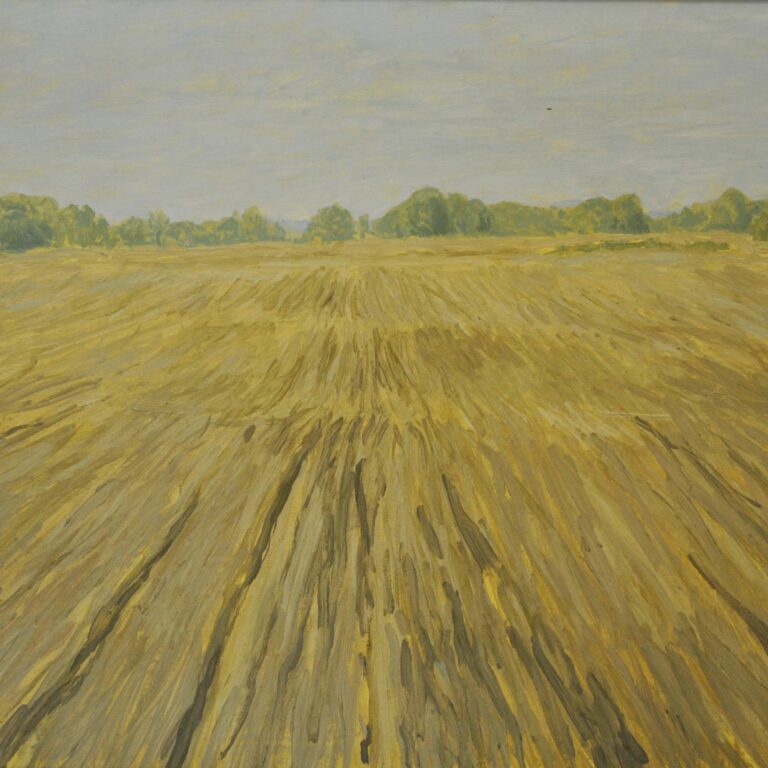 Acker - Hans-Hubertus Gaebel 
