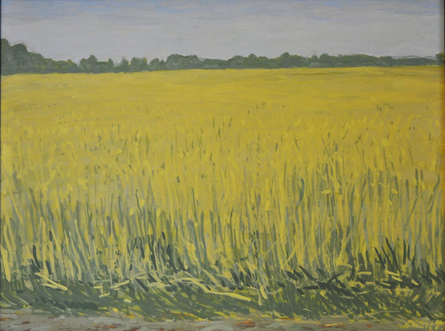 Kornfeld - Hans-Hubertus Gaebel 