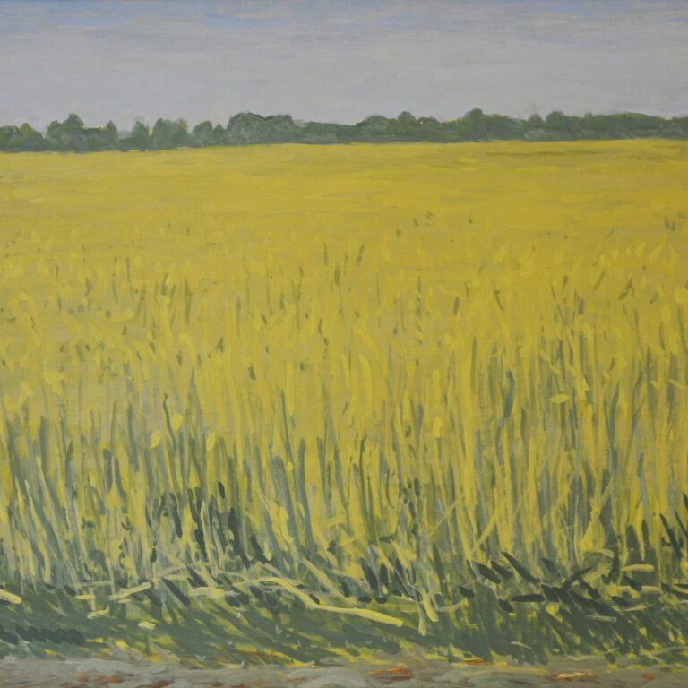 Kornfeld - Hans-Hubertus Gaebel 