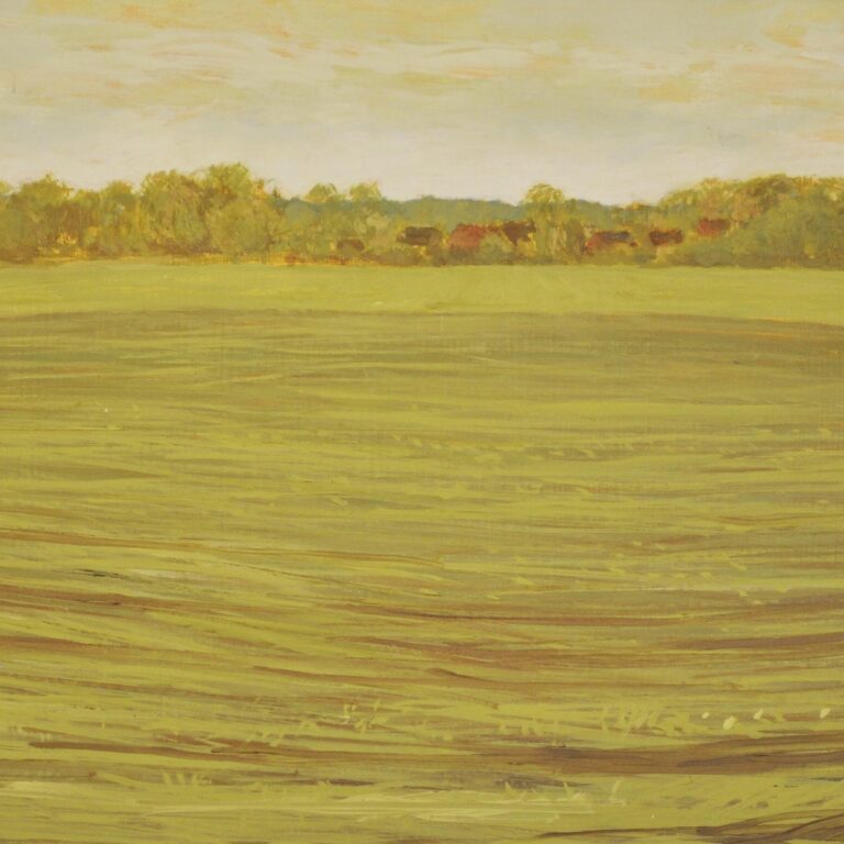 Wiese vor dem Dorf - Hans-Hubertus Gaebel 