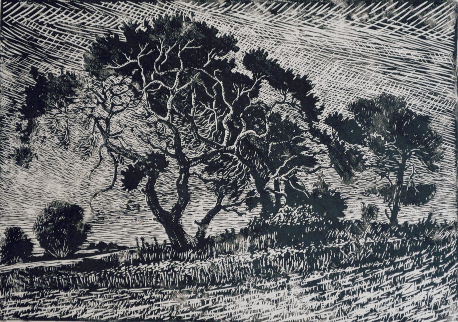 Bäume am Feldrand - Paul-Oskar Seese 