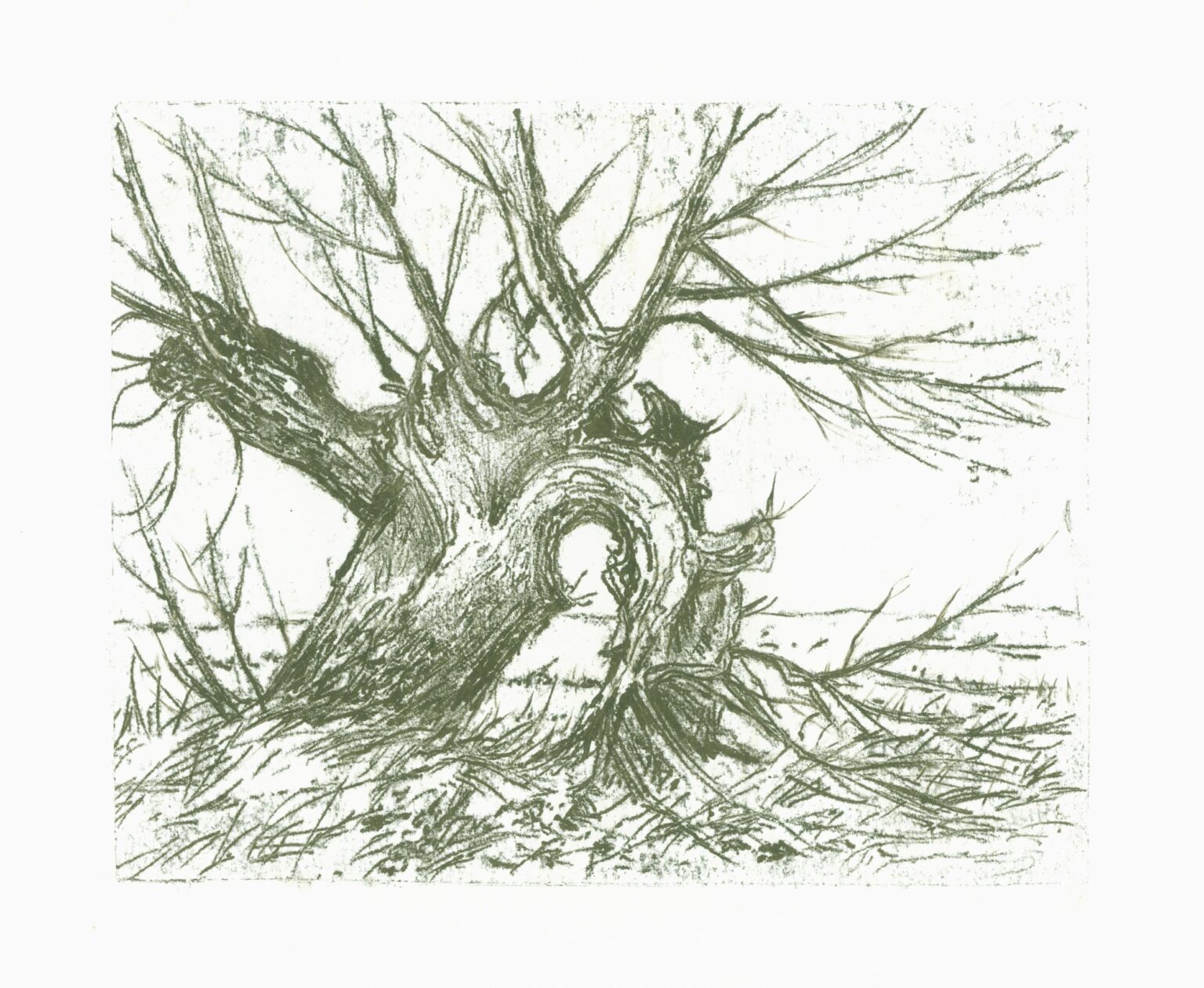 Alte Weide - Paul-Oskar Seese 