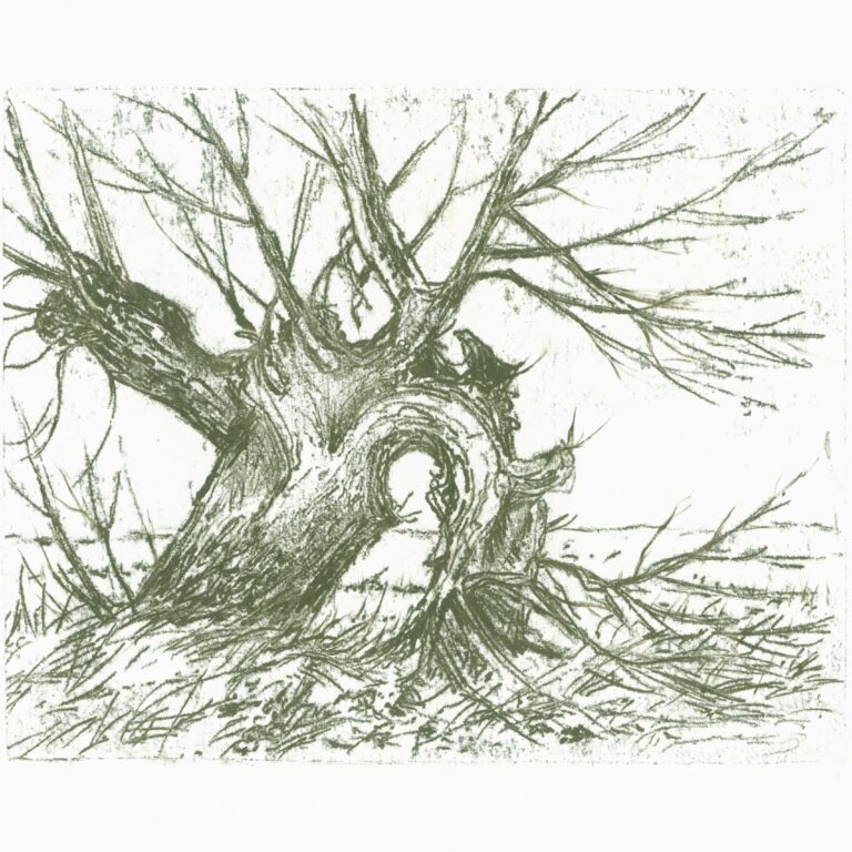 Alte Weide - Paul-Oskar Seese 