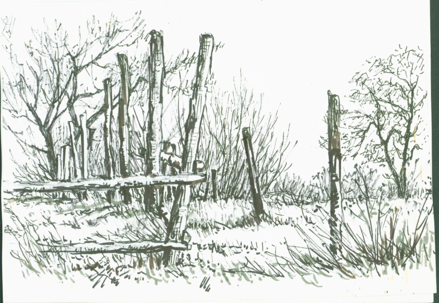 Zaun - Paul-Oskar Seese 