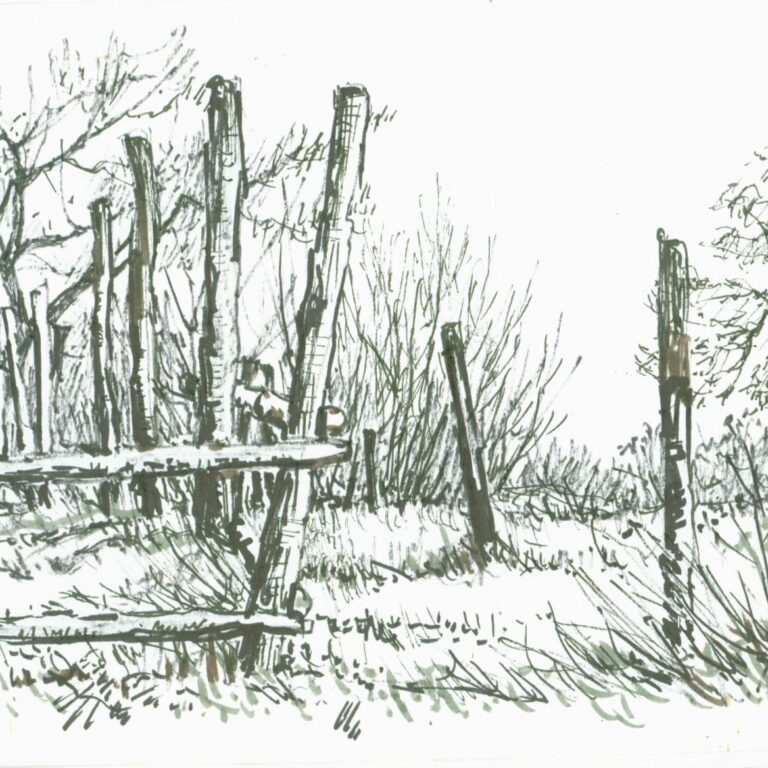 Zaun - Paul-Oskar Seese 