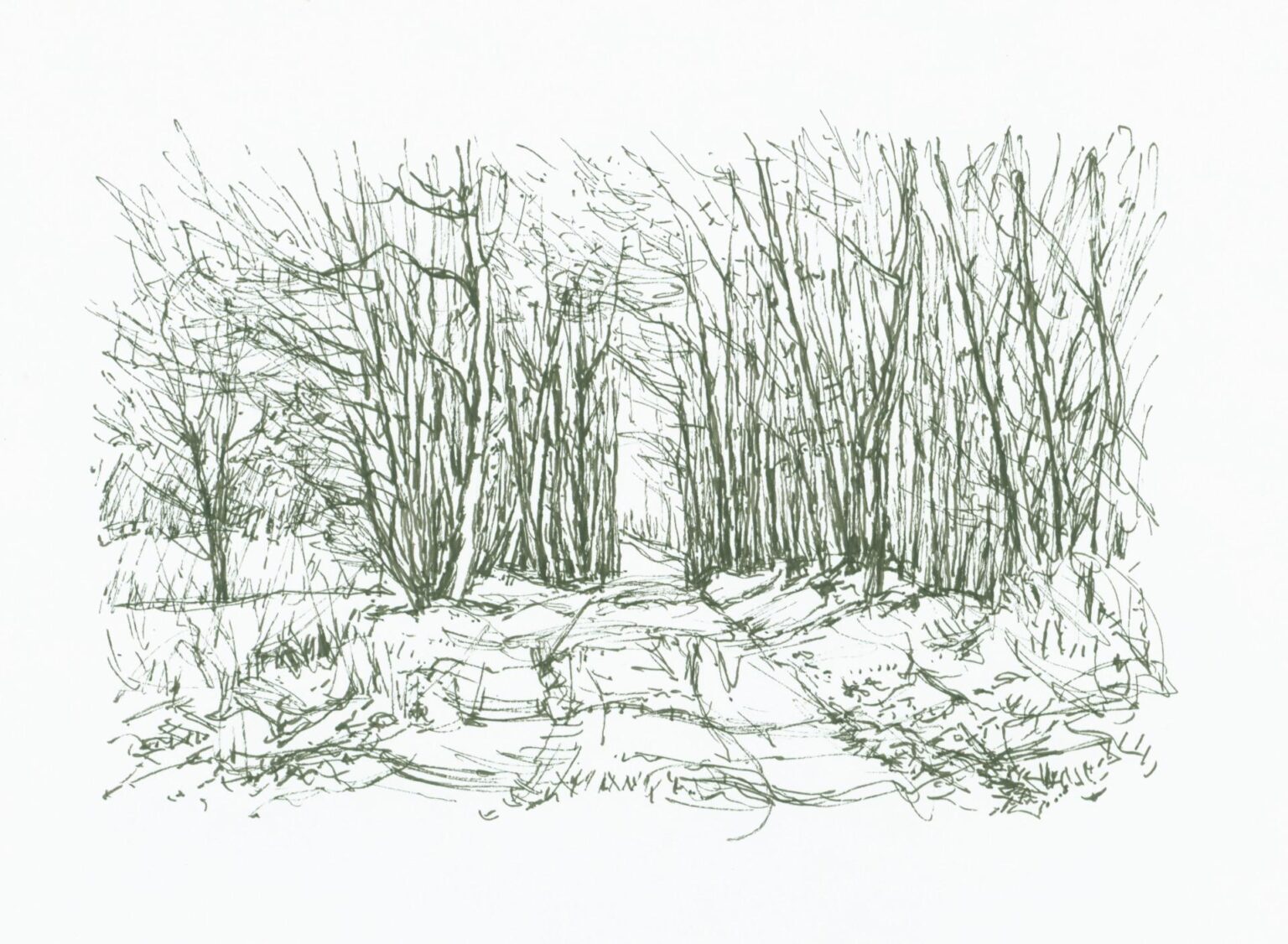 Waldweg - Paul-Oskar Seese 