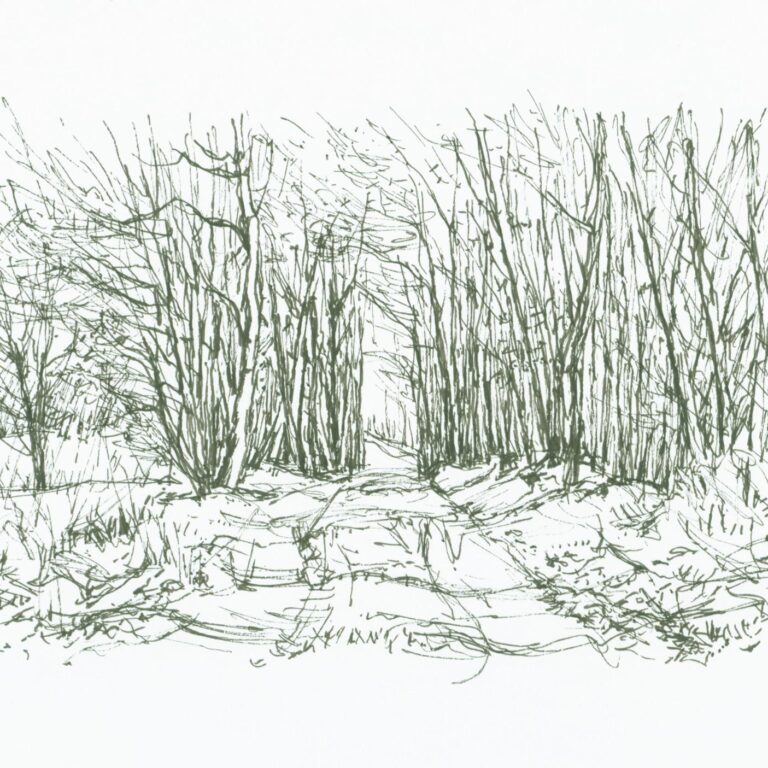 Waldweg - Paul-Oskar Seese 