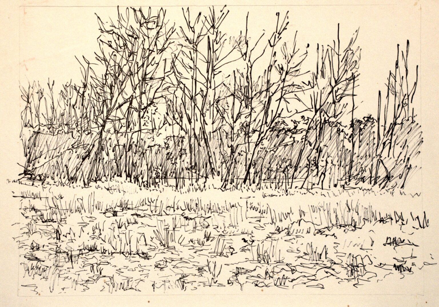 Karge Büsche - Paul-Oskar Seese 